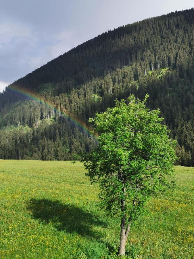 Апартаменты Tgesa Dutg Grond Седрён Экстерьер фото